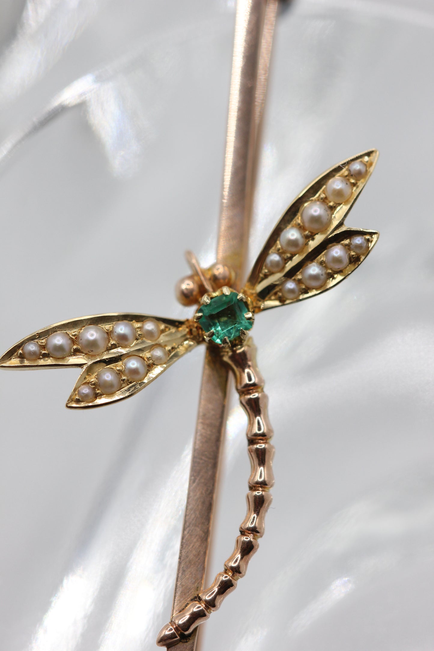Dragon fly brooch