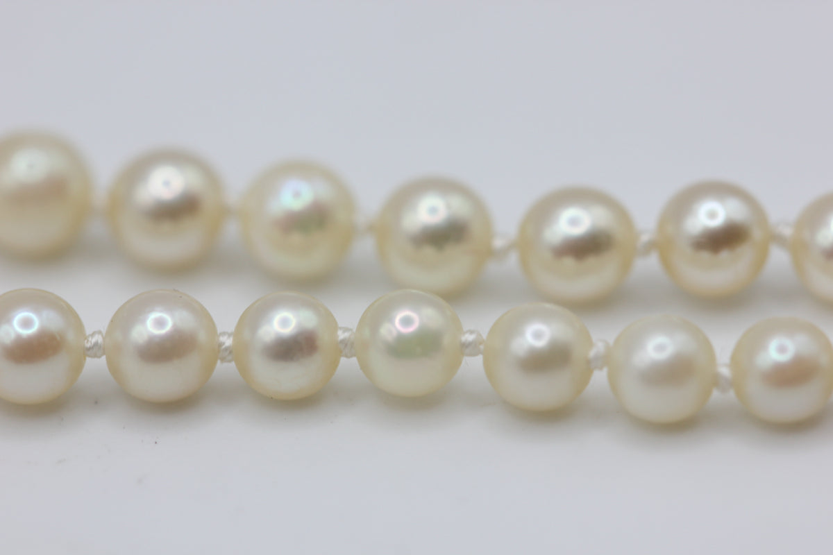 Pearl choker