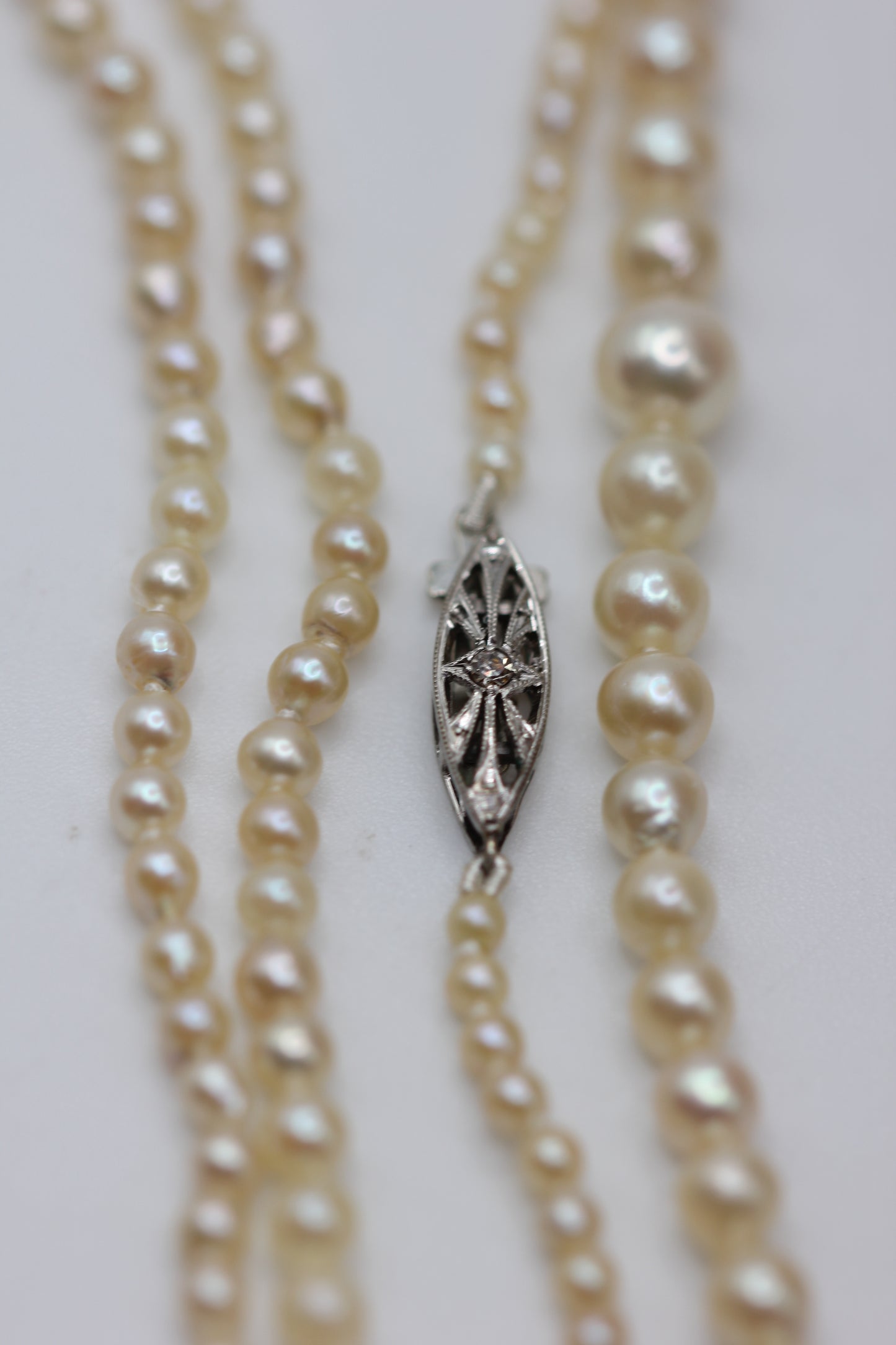 Pearl necklace
