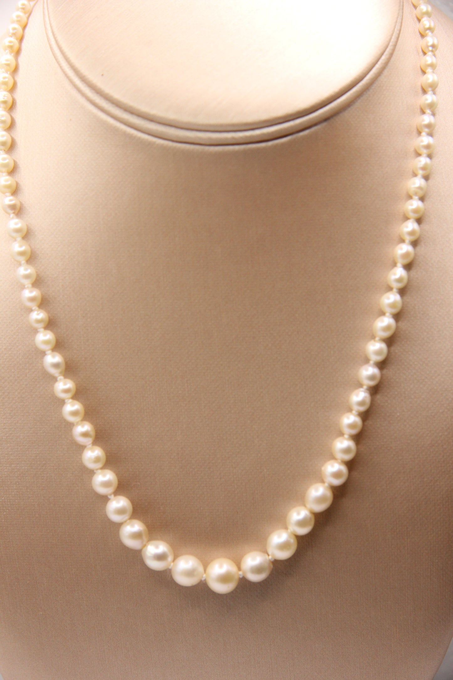 Pearl necklace